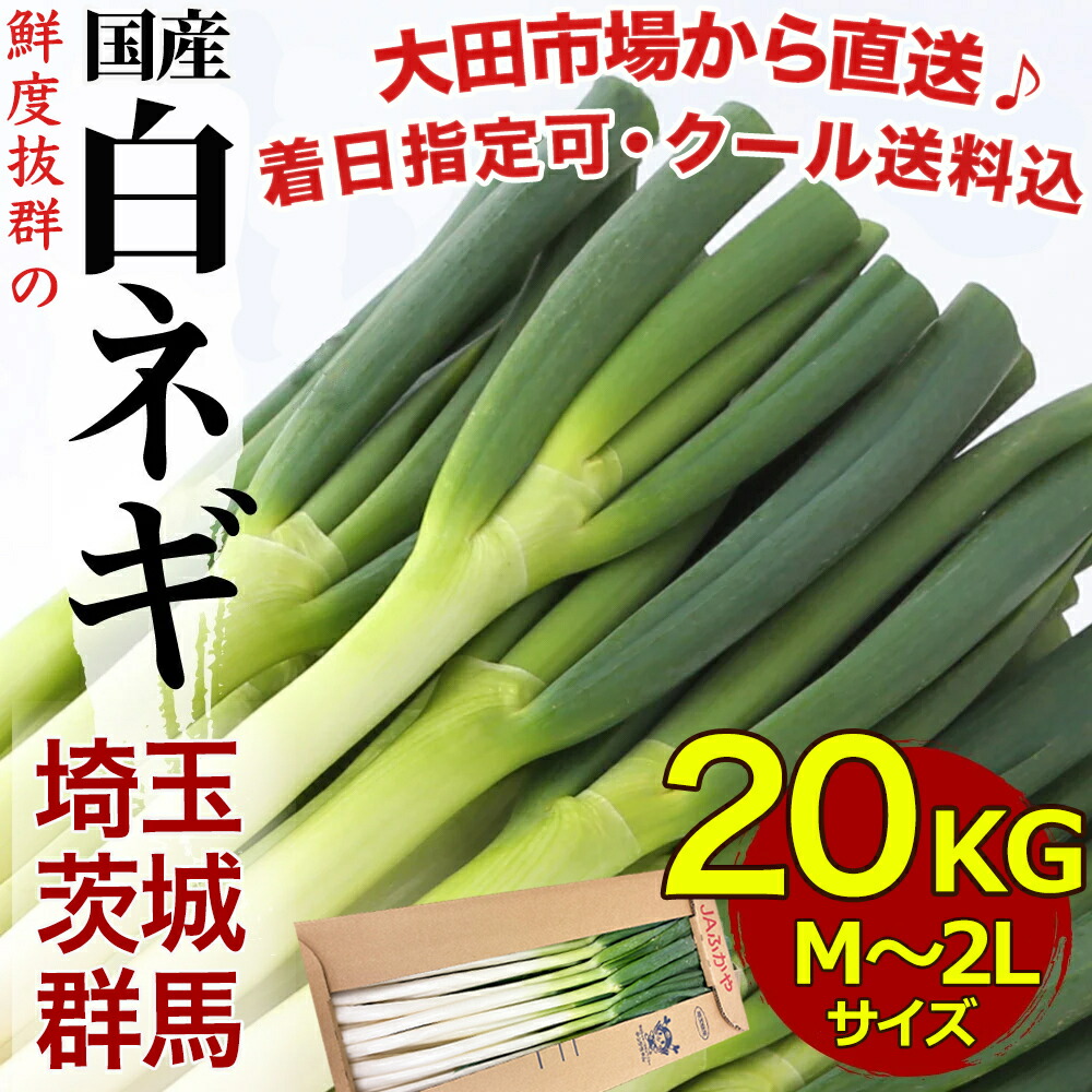 市場 送料無料 Mサイズ 青ねぎ カットねぎ 1kg 広島県産ネギ 業務用食材