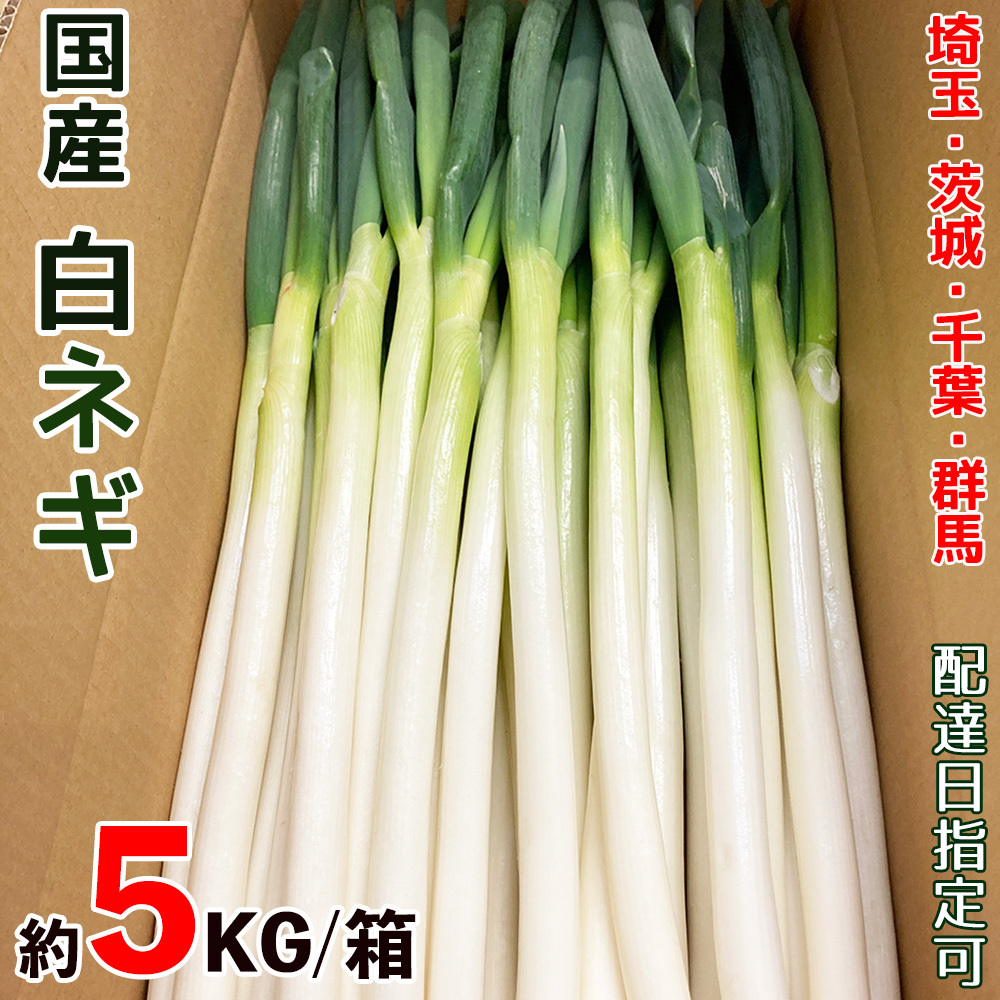 楽天市場】国産長ねぎ M～2Lサイズ 箱売 埼玉/茨城/群馬/千葉県産 白