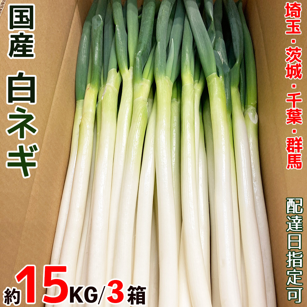 楽天市場】国産 白ネギ 15kg (5キロ×3箱) M〜2Lサイズ 埼玉/茨城/群馬