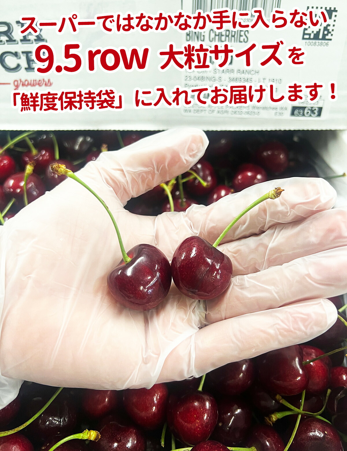 アメリカンチェリー 大粒 9.5Row以上 1kg 2kg 4kg 8kg｜空輸直送 