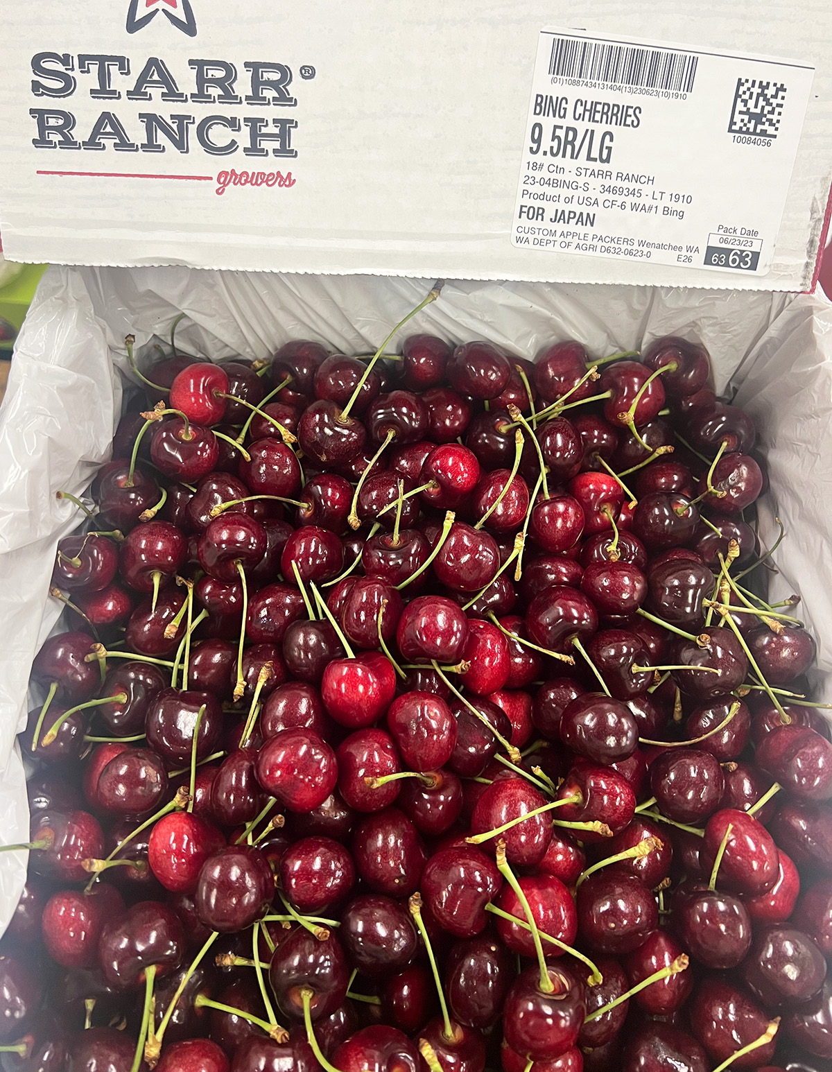 アメリカンチェリー 大粒 9.5Row以上 1kg 2kg 4kg 8kg｜空輸直送 