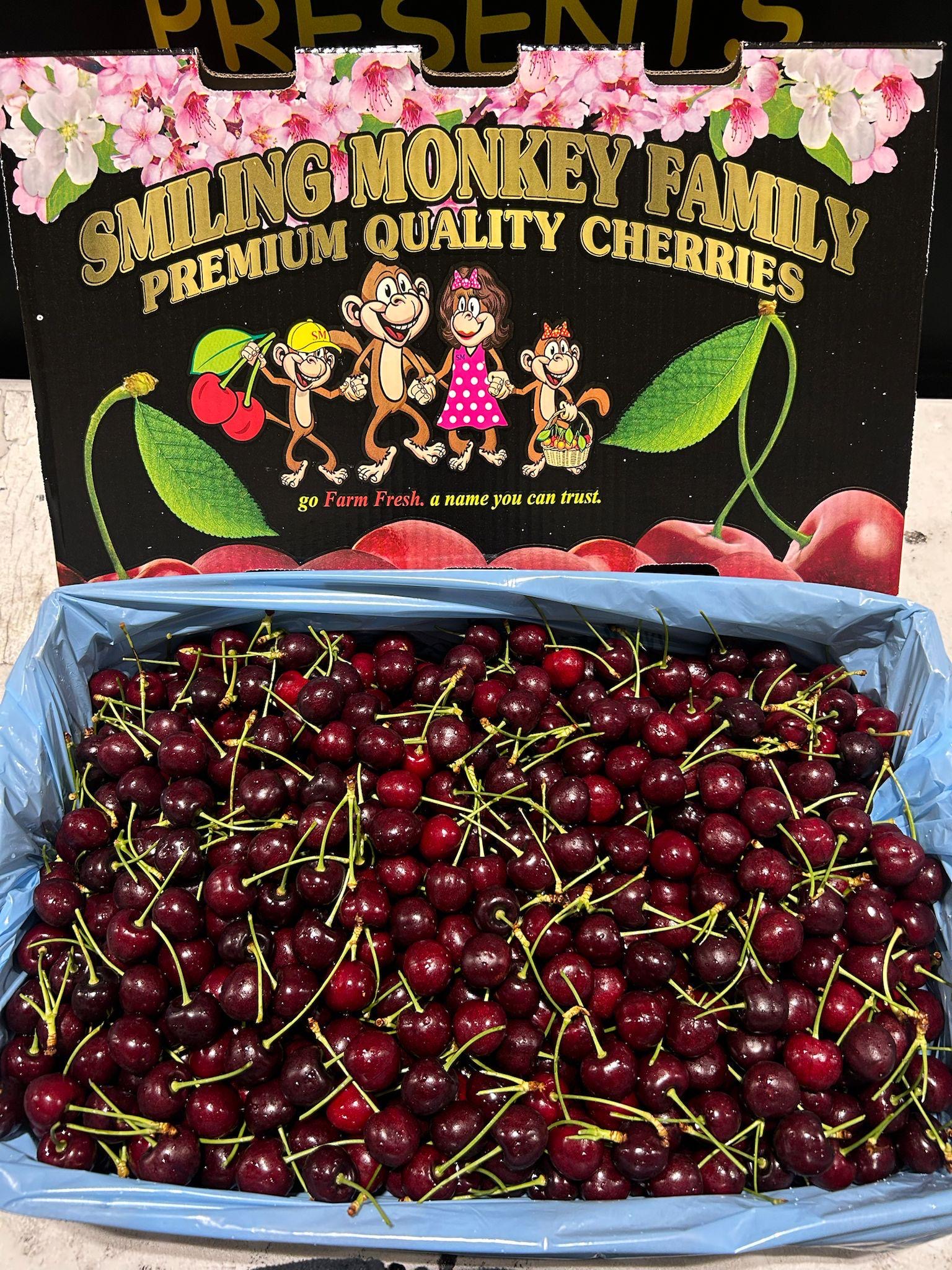 アメリカンチェリー 大粒 9.5Row以上 1kg 2kg 4kg 8kg｜空輸直送 