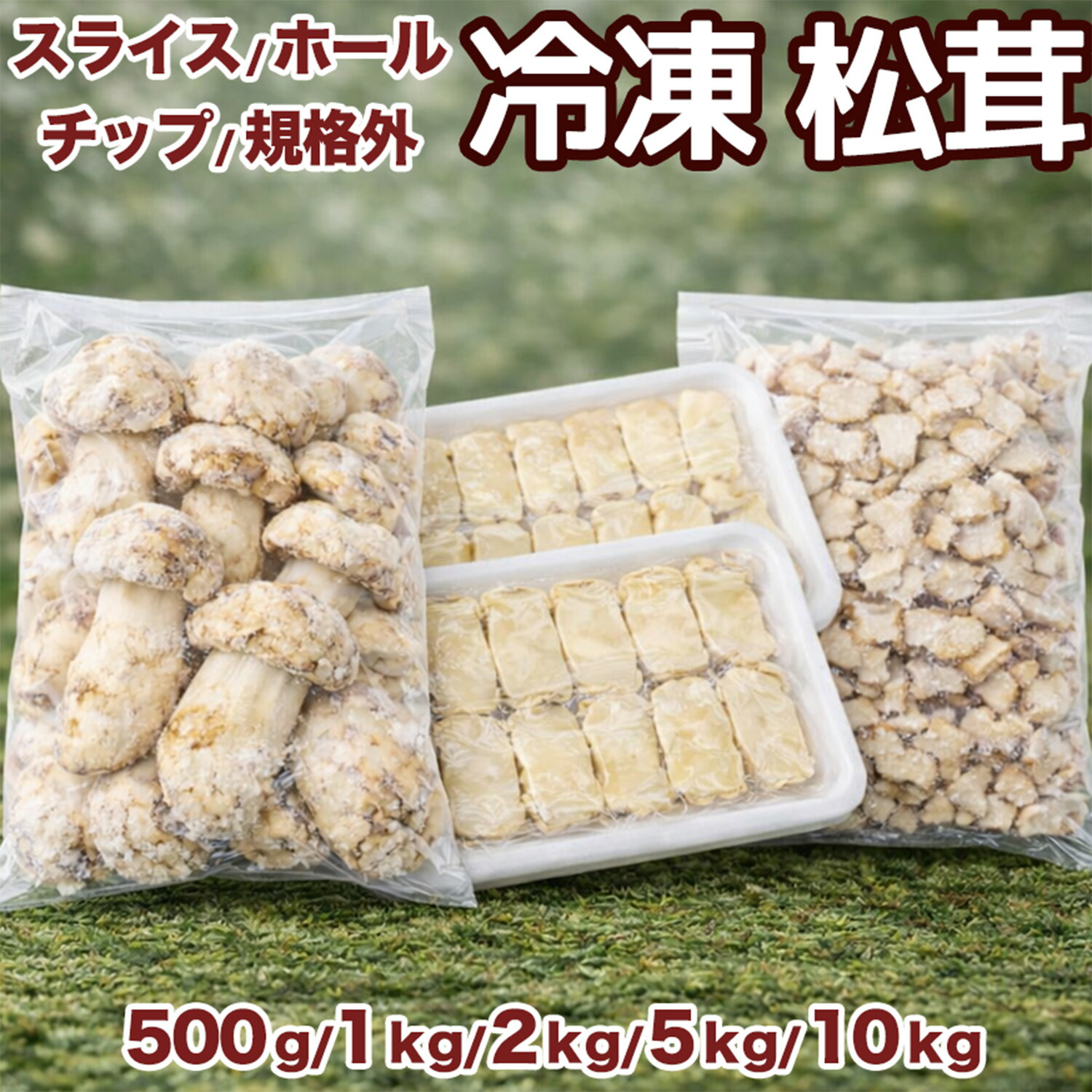 フレッシュ松茸1kg 【公式通販】