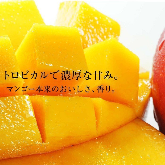 完熟台湾マンゴー 約2.5kg 5〜6玉 空輸 大玉限定 化粧箱 台湾産 愛文種 アーウィン 最高級完熟アップルマンゴー エア便鮮度抜群 香り高い甘さたっぷり 厳選フルーツ Taiwan Mango 台灣芒果 国内発送 御中元 贈答用 家庭用 果物ギフト クール便送料込 全ての 完熟台湾マンゴー 約2.5kg 5〜6玉 空輸 大玉限定 化粧箱 台湾産 愛文種 アーウィン 最高級完熟アップルマンゴー エア便鮮度抜群 香り高い甘さたっぷり 厳選フルーツ Taiwan Mango 台灣芒果 国内発送 御中元 贈答用 家庭用 果物ギフト クール便送料込 全ての