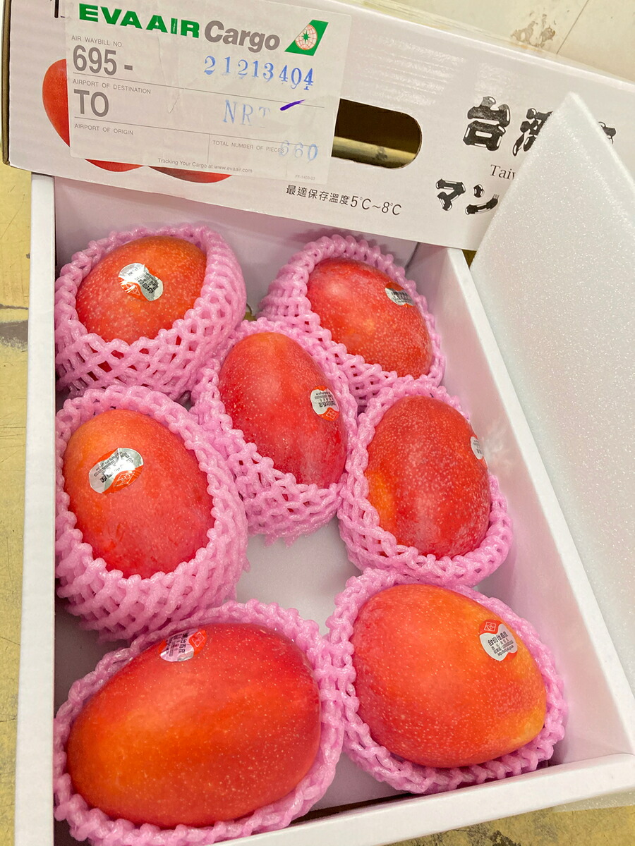 完熟台湾マンゴー 特選アップルマンゴー 5kg 2.5kg 化粧箱入り 大玉 中