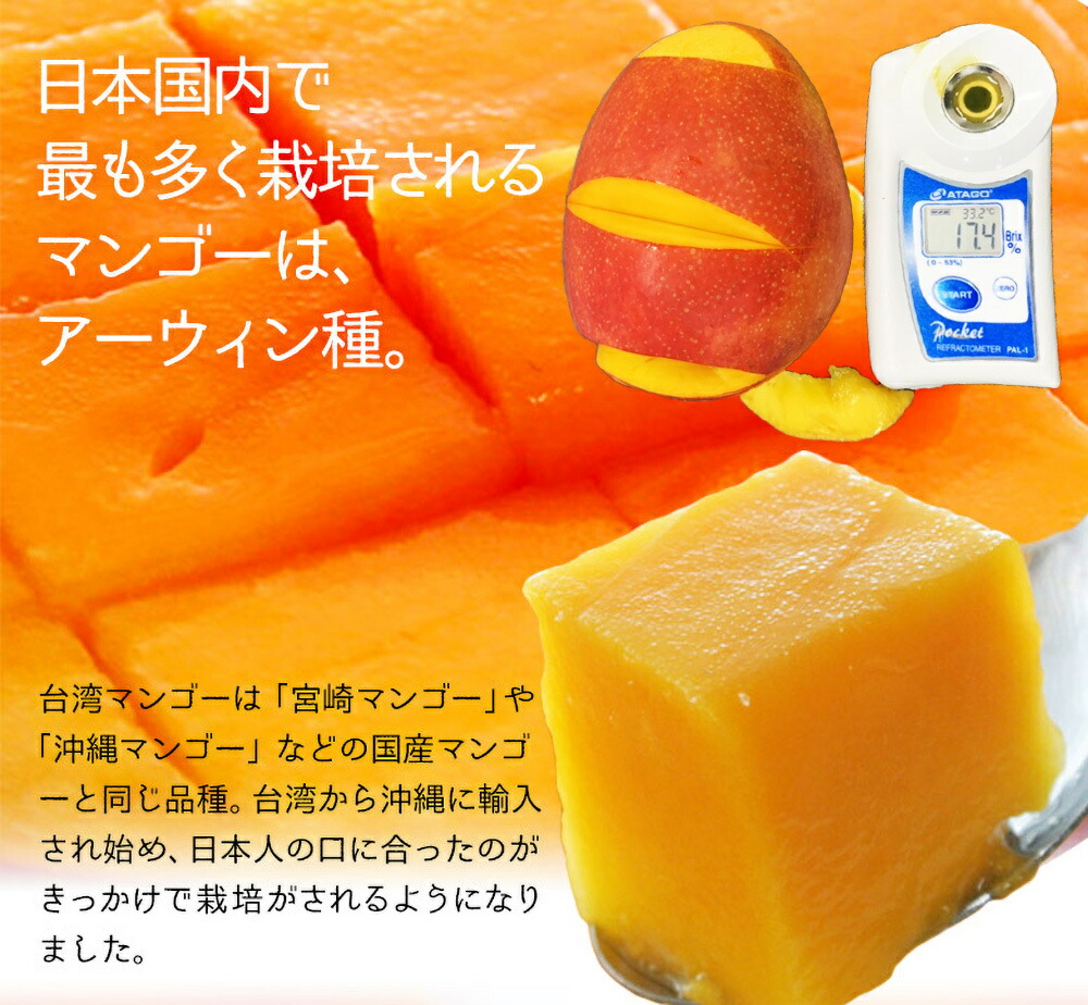 完熟台湾マンゴー 特選アップルマンゴー 5kg 2.5kg 化粧箱入り 大玉 中