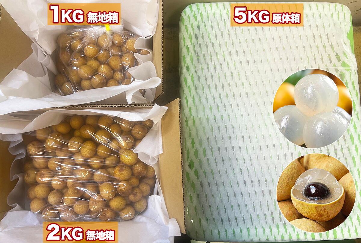 生龍眼（リュウガン）フレッシュ生竜眼 ベトナム産｜空輸直送 高鮮度 