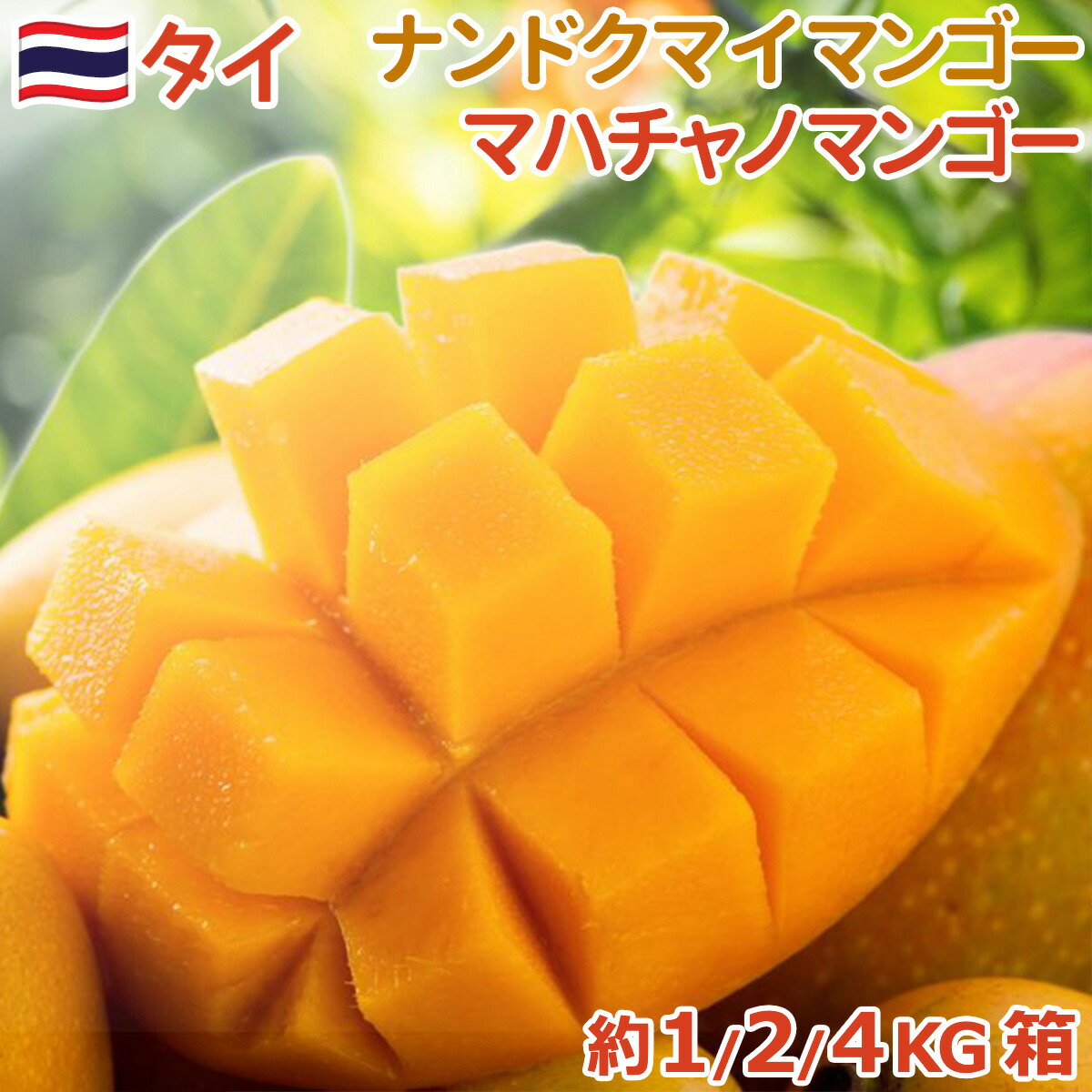 タイ産マンゴー ナンドクマイマンゴー 約4.3kg＜12～15玉入＞ 産地箱 空輸｜有袋栽培芳醇な香りと濃厚な甘み・酸味の絶妙バランス｜フレッシュトロピカルフルーツ｜家庭用 贈答用 ギフト対応｜旬果物ギフト お中元 父の日｜四季の広場厳選・国内検品発送