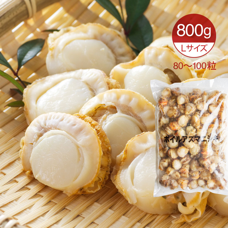 凝固来簡 ボイル 赤ちゃんホタテ ベビーほたて 800g L大いさ 微粒 シチュー パスタ 炊き込み飯米 帆立 ボイルほたて貝類 アズマニシキ貝 Hotjobsafrica Org