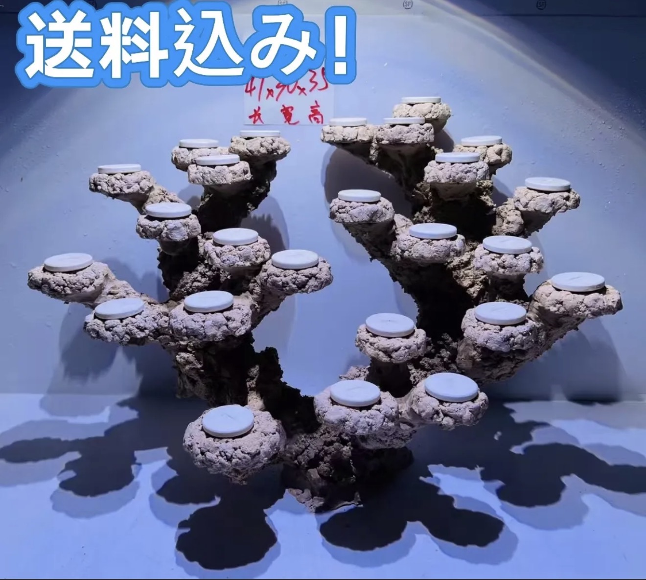【マラソン限定：P5倍＆クーポンで1,000円オフ】多孔質人工ライブロックセット（海水魚、サンゴ、バクテリア、背景、レイアウト、水槽）｜海底世界　店