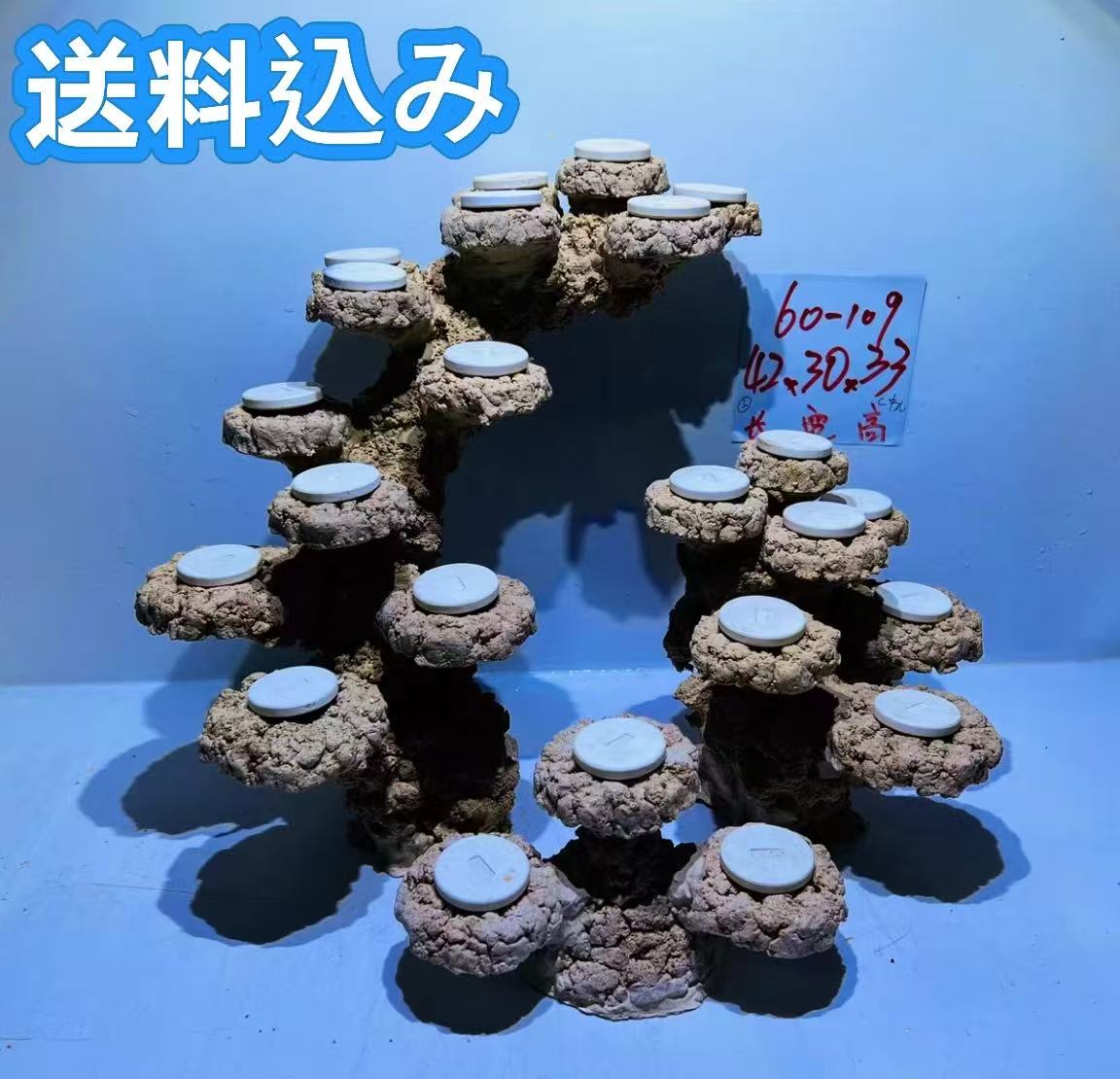 今季注目 MKY04OXY36N [MKY04OXY36N]