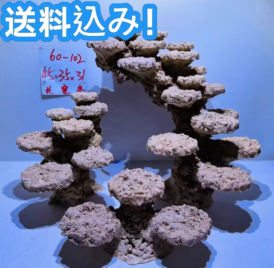 [売れ筋 【即日発送】 ] MFOU5XFOWAK (MFOU5XFOWAK)