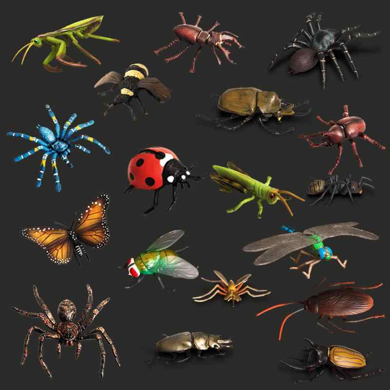 楽天市場】【即日発送 あす楽】collecta （コレクタ）昆虫 バッタ