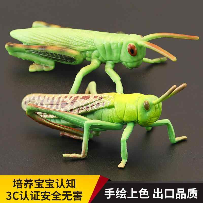 レトロ　新品　昆虫　バッタ　二匹　セットのみ レトロ 新品 昆虫 バッタ 二匹 セットのみ バッタ | リヤドロ公式