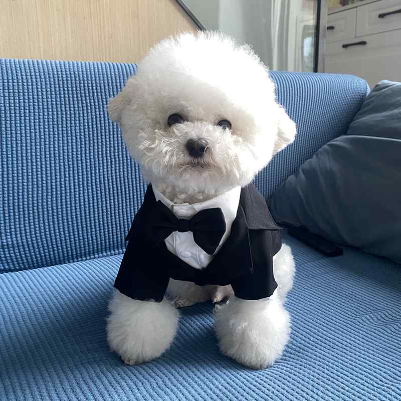 犬猫 スーツ 写真撮影 衣装 ワンちゃん 猫ちゃん タキシード おしゃれ ブラック ブリティッシュ スーツ セットアップ ペット スーツ テディ スーツ ドレス