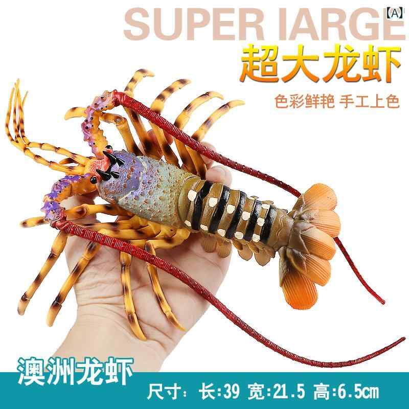 模型 魚 教育 おもちゃ 玩具 チック 静動物 男の子 海洋生物 コレクション 子供 ユニセックス 装飾品 海