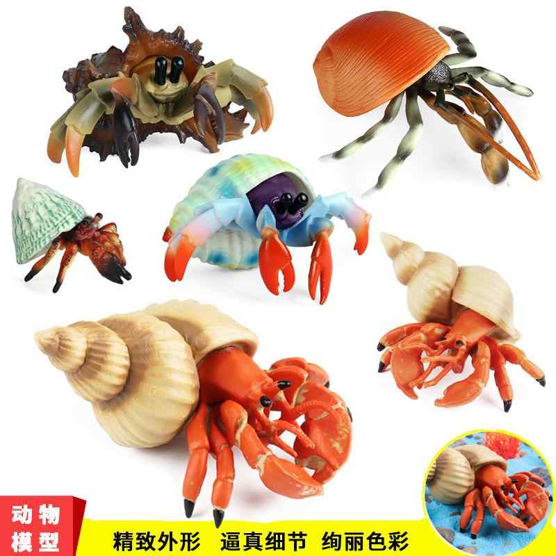 ヤドカリ 海洋生物 フィギュア 模型 おもちゃ ホビー 人形 コレクション インテリア ミニチュア リアル 子供 ギフト 男の子 女の子 ディスプレイ
