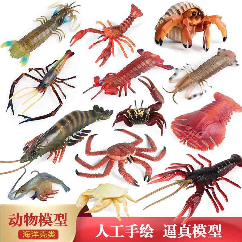 ヤドカリ エビ カニ 海洋生物 フィギュア 模型 おもちゃ ホビー 人形 コレクション インテリア ミニチュア リアル 子供 ザリガニ チック 教育