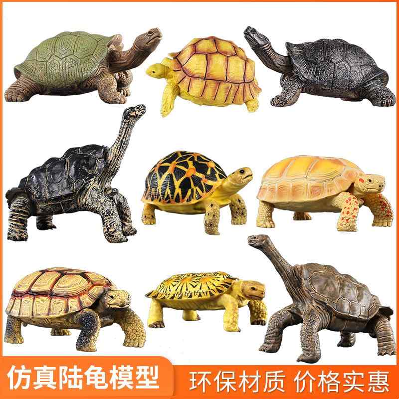 模型 動物 科学 おもちゃ 玩具 チック 静動物 男の子 水陸両 コレクション 子供 固体 装飾品 シミュレーション 教育