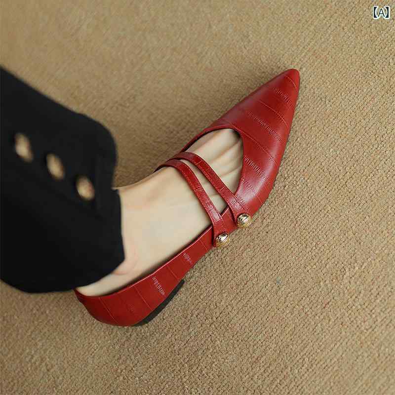 レディース パンプス レザー 春秋 牛革 ブラウン メリージェーン シューズ 女性 ポインテッドトゥ フラット ソフト ソール 快適 浅い口 シングル 女性用