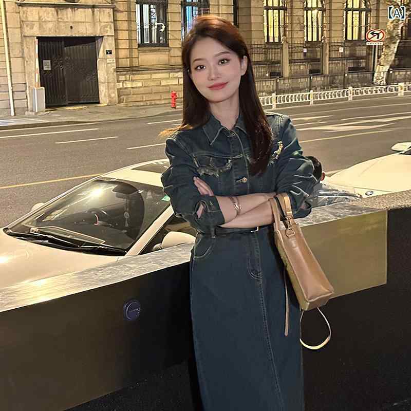 レディース 衣装 成年者 可愛らしい フランス共和国 プルオーバー ジーンズスコート か細い 今めかしい 腹 覆いかぶせる 御召しもの 成人女性 秋冬