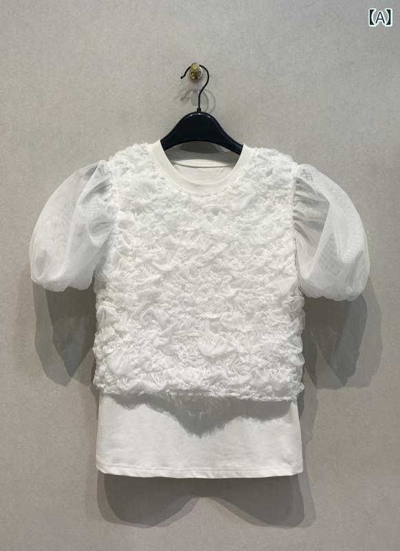 Tシャツ レディース 春夏 長袖 メッシュ 透け感 レイヤード 重ね着 インナー アンダーウェア レース 無地 ラウンドネック トップス シアー 2点セット アンサンブル 日系 カジュアル きれいめ｜セキュアデポ