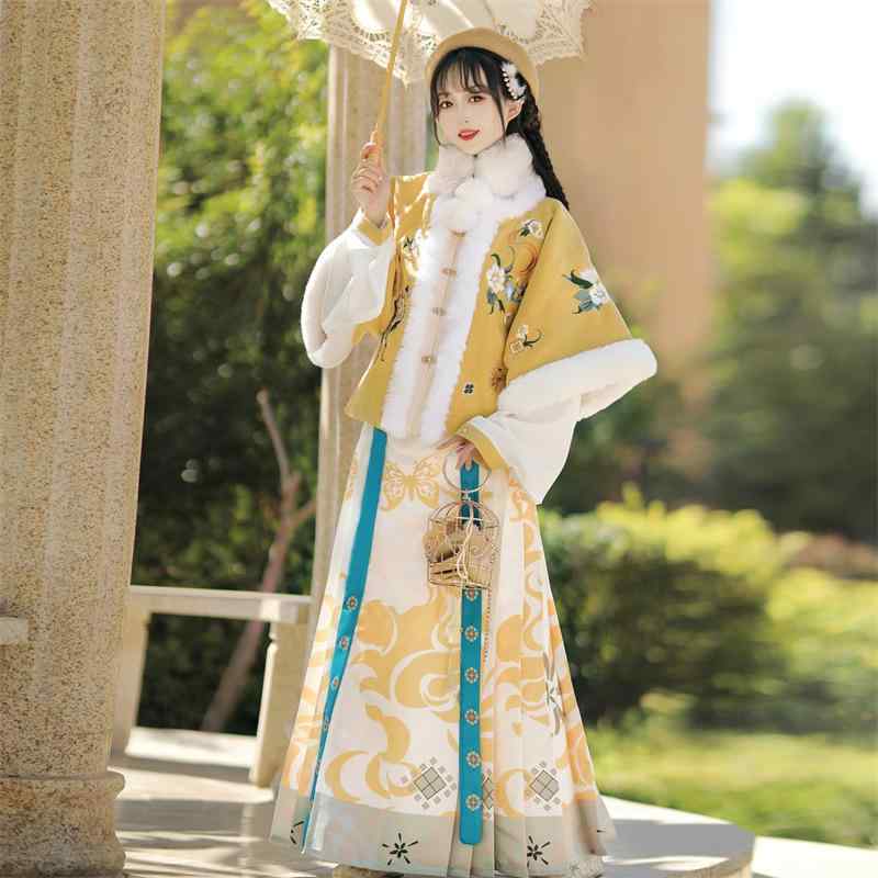 漢服 レディース 目あたらしい 錦瑟流年 明代様式 組み換える 朦々たる 保温性 生あたたかい ポリエステル 刺しゅう 晴れ晴れしい ?裙 馬面スコート セットアップ 秋冬