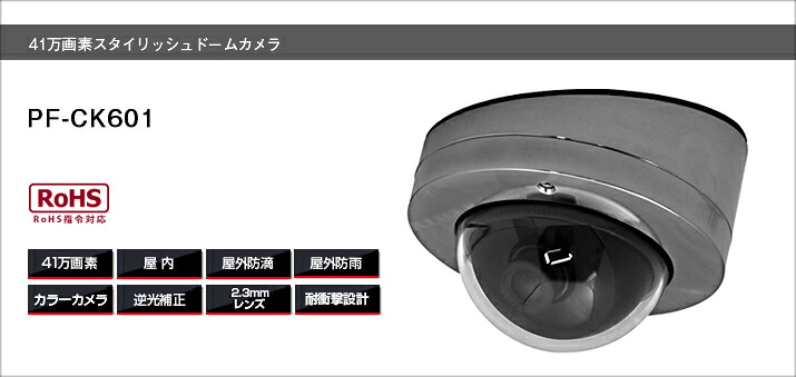 PF-CK601 ドームカメラ貨物輸送無料 日本防犯取り合わせ置き目代わりになる店防雨遣りかた