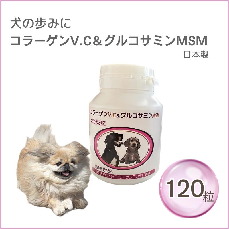楽天市場】【即日発送】2025年10月24日入荷分 うさぎの瞳に