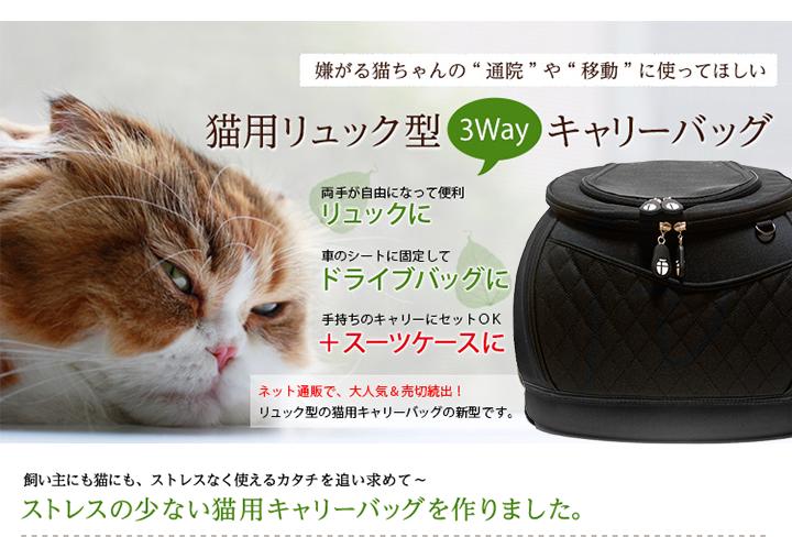 DAISUKIダイスキキャリーバッグMサイズ選べる全色リュックキャリー猫防災グッズ犬防災グッズ