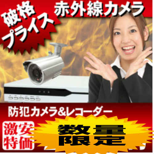 防犯カメラセット 監視カメラセット WTW-DV944-500GB WTW-R26F SET 激安防犯カメラとDVRレコーダーフルセット カメラ１台標準装備 防犯カメラ最大4台 iPhone携帯での遠隔監視可能 DVR 37,635円