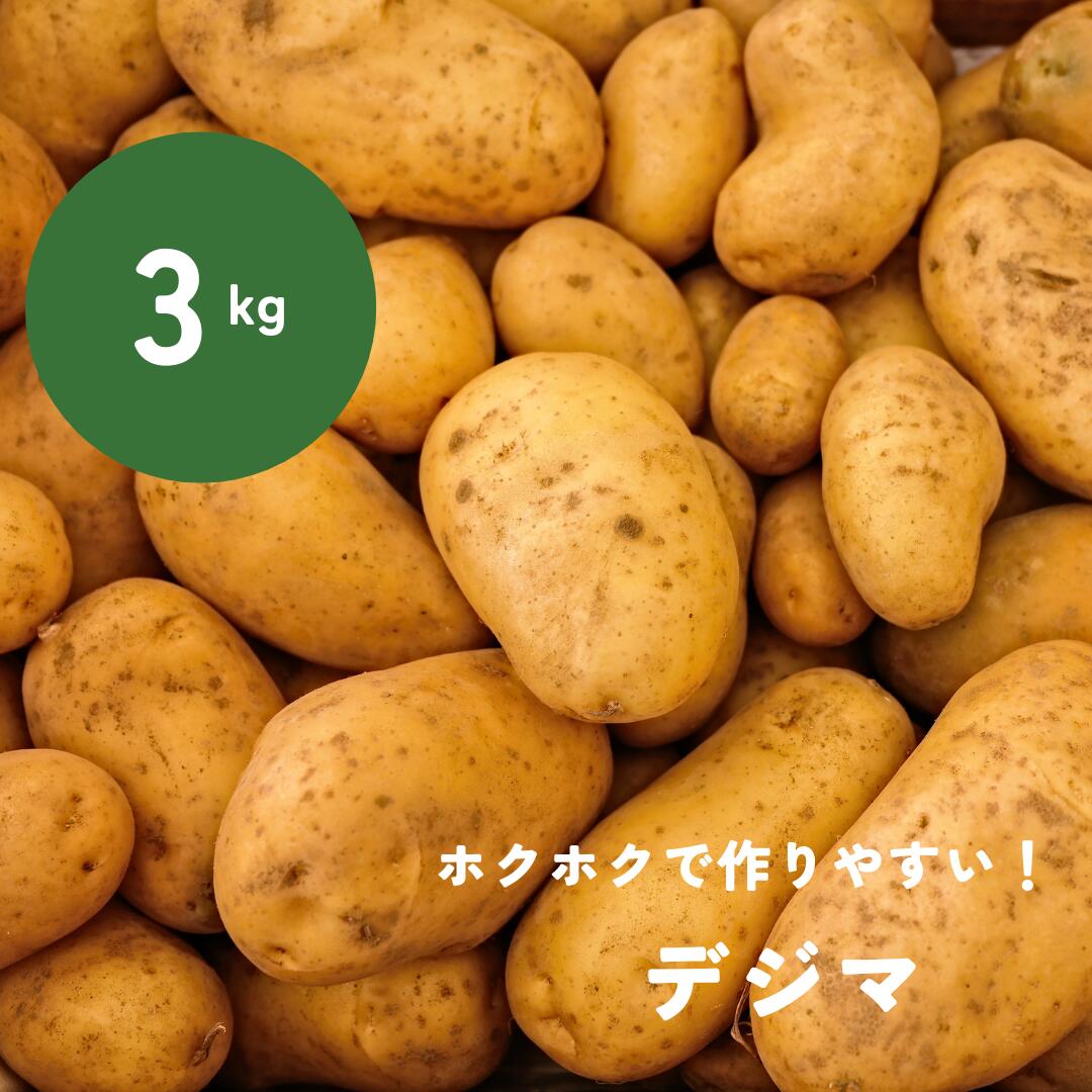 じゃがいも黒のMサイズ L_600g_80f6ffcb-0a1d-4cd1-a659