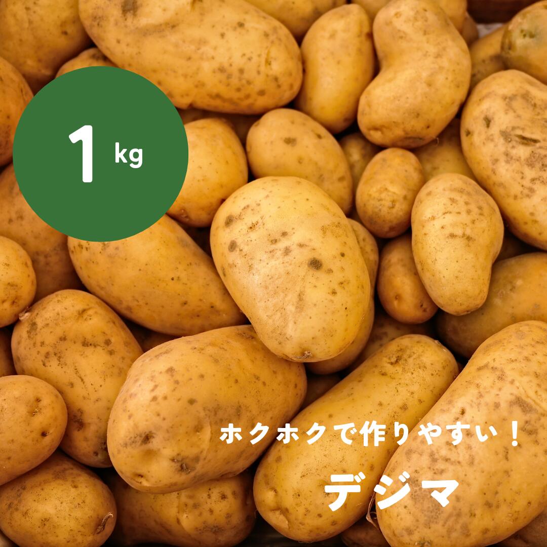 激安！　早い者勝ち　じゃがいも　53 早春赤土バレイショ 5kg [V-001] | JA鹿児島いずみショップ