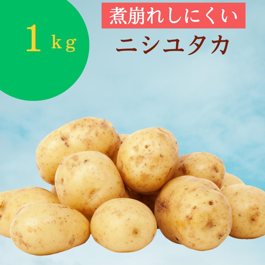 じゃがいも黒のMサイズ 楽天市場】《産地おまかせ》国産 じゃがいも 約10kg （ Lサイズ
