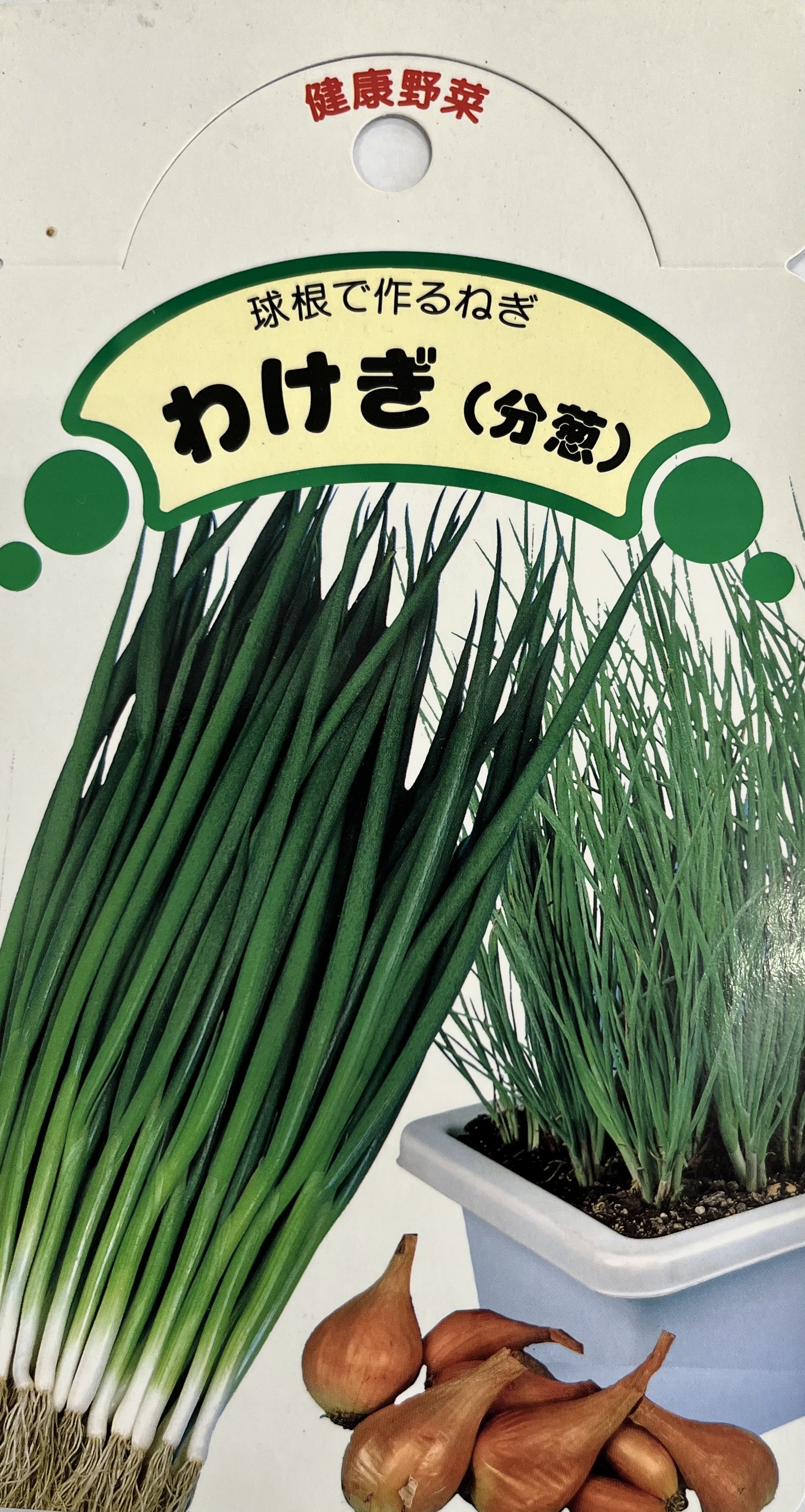 ねぎはや mqdefault.jpg