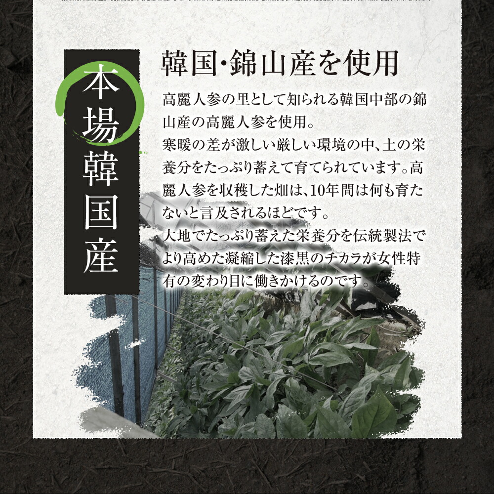 黒高麗人参約1ヵ月分送料無料