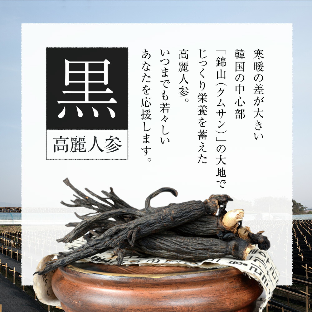 黒高麗人参約1ヵ月分送料無料