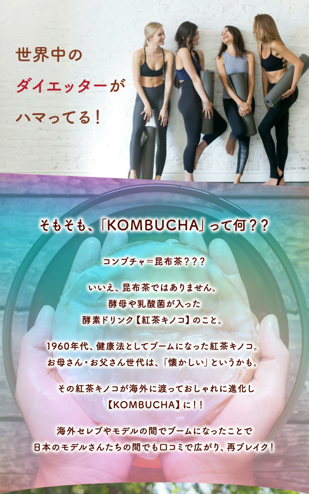 コンブ茶の木 粗々12ヵ月分 サプリ 附録 ダイエット 美容 勇健 酵素 乳酸真菌 茶マッシュルーム 酵母菌 ヴィタミンd 葉酸 ビタミンc ビタミンb 大豆ペプチド Deal36 Deal0507 Natsu B19 Diet0621 Cannes Encheres Com