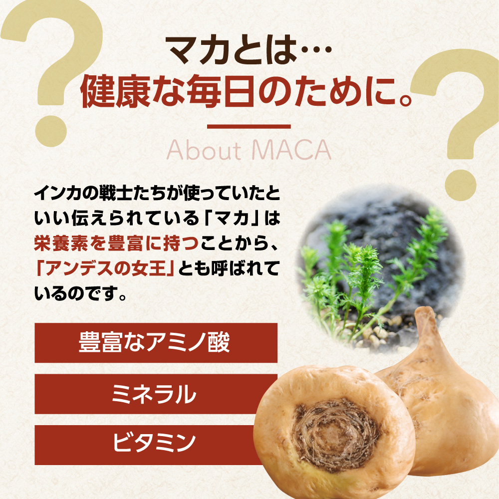 【今だけクーポンで半額以下!】世界中で愛用人気サプリ!本場ペルー原産マカ約3ヵ月分【seedcoms_D】3D
