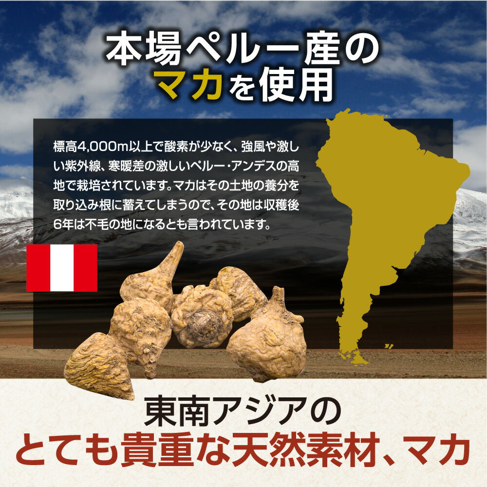 【今だけクーポンで半額以下!】世界中で愛用人気サプリ!本場ペルー原産マカ約3ヵ月分【seedcoms_D】3D