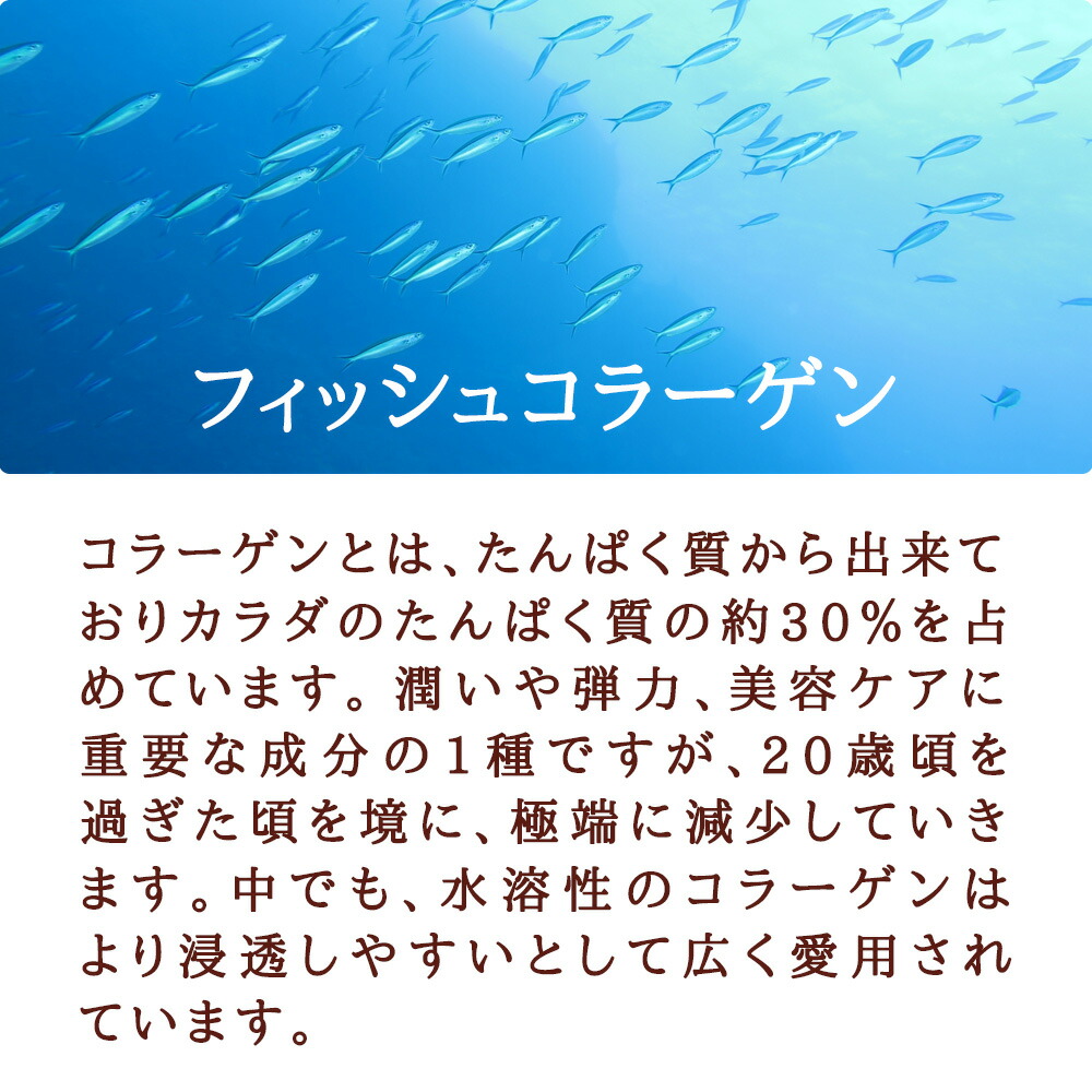 10周年慶び事執行なう最中 最大限度p10倍増し エラスチン値段ぷるぷるすっぽんコラーゲン 凡そ12ヵ月min Seedcoms D 12d Diet D1805 Deal35 Deal36 Deal31 Deal33 Natsu B19 Eastjob Pl