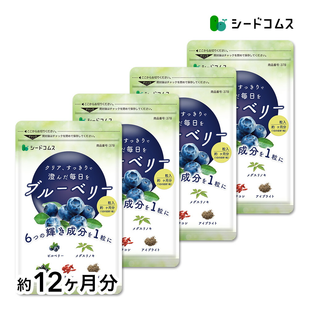 ブルーベリー 約12ヶ月分 送料無料 サプリ サプリメント 健康 ブルーベリー ビルベリー メグスリノキ カシス クコシ アイブライト ビタミン アイケア ポリフェノール アントシニアン タンニン