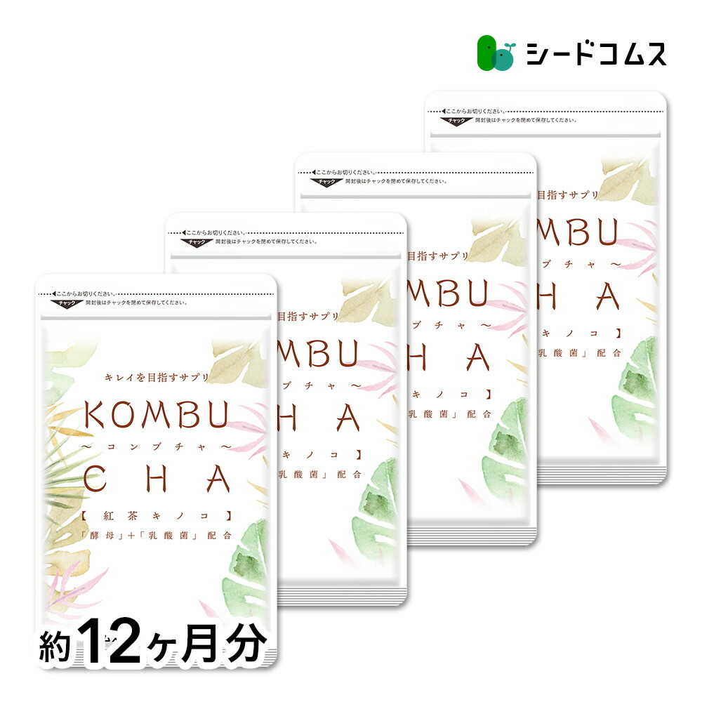 チャコールクレンズ 炭 ブラックスレンダー約12ヵ月分 Amazon | シードコムス 炭サプリ ブラックスレンダー チャコール