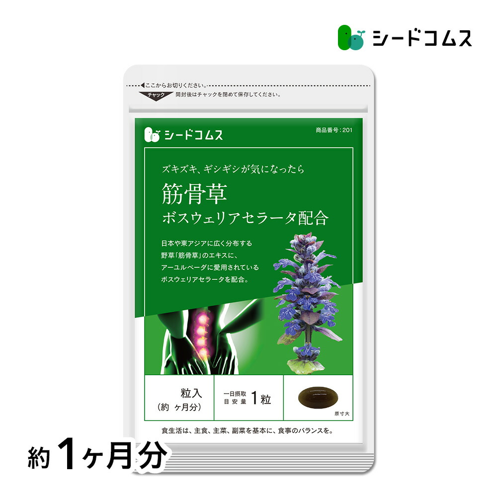 【新品】ソウルオブシベリア　ボウル#2　大容量　ククサ　No.3300 ソウルオブシベリア | 日本版 公式 オンラインショップ | 全世界