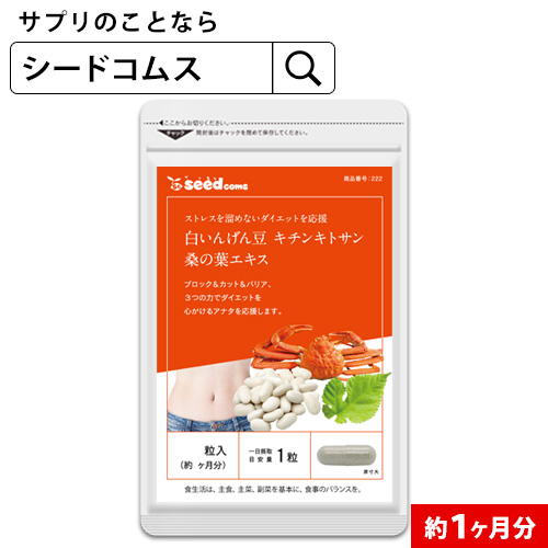 【楽天市場】ギムネマ濃縮カプセル ≪約3ヶ月分≫ ネコポス送料