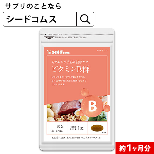 【楽天市場】ビタミンB群 約3ヶ月分 送料無料 サプリ