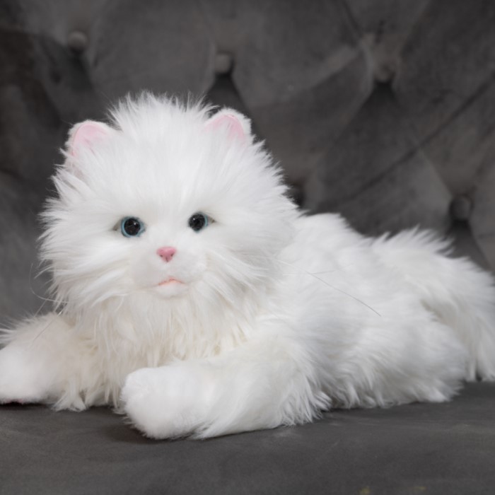 甘えん坊の猫ちゃんハンドメイド 楽天市場】【電池10本プレゼント】あなたのパートナー しっぽ