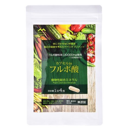 宇宙カプセルインチフルボ酸 120粒 生存期間平衡にする フルボ酸 サプリ 鉱物 生まれながら100％の草木性組み入れる鉱物に難消化性デキストリンを練り合わせる 宇宙カプセル インチ フルボ酸 ぽっこり土手っ腹 思わしい目標にする 電子メール便送りとどける可