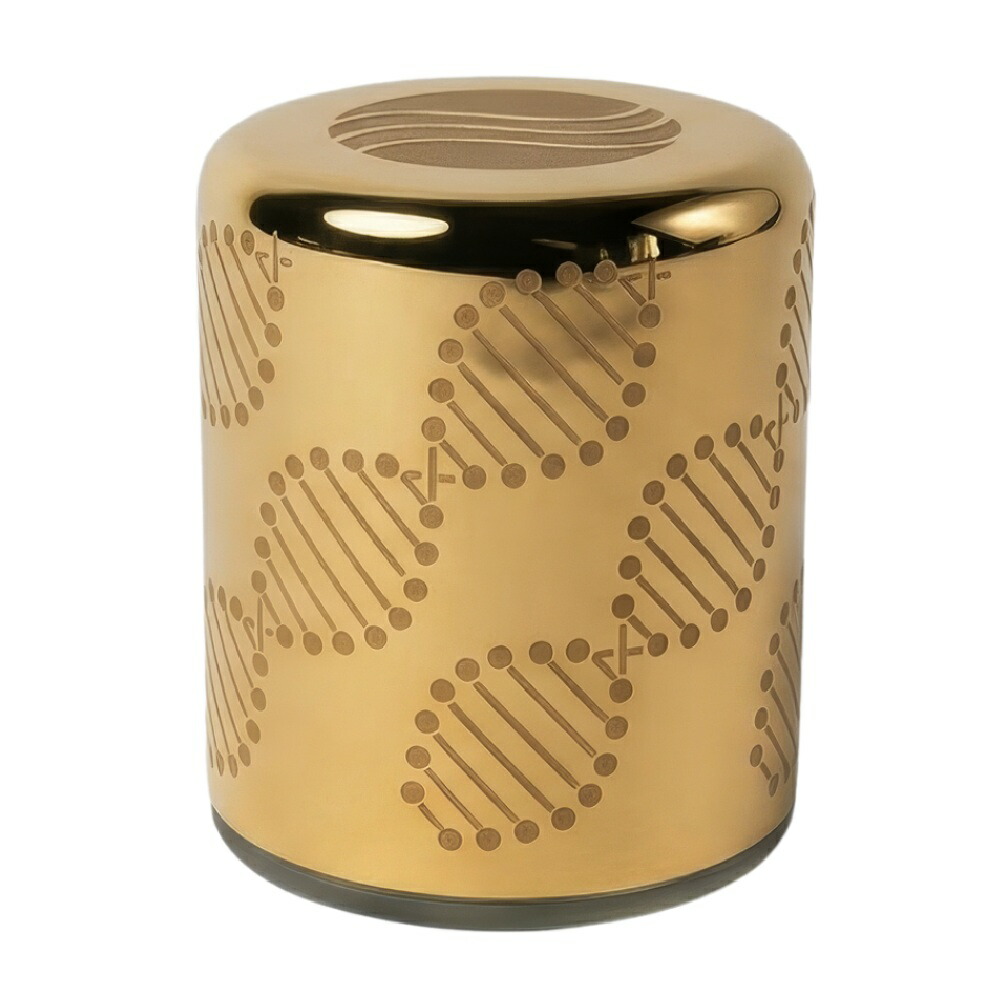 ソマヴェディック エル雰囲気・ゴールド アクシスムンディ somavedic ElAura Gold AxisMundi 癒し グッズ ヒーリング あき場所 エルオーラゴールド ソマベディック
