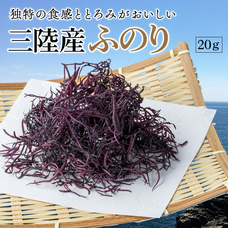 【楽天市場】海藻 ふのり 乾燥 三陸産 布海苔 20g みそ汁の具 国産 チャック付き 保存料 着色料 無添加 みそ汁 味噌汁の具 フノリ ...